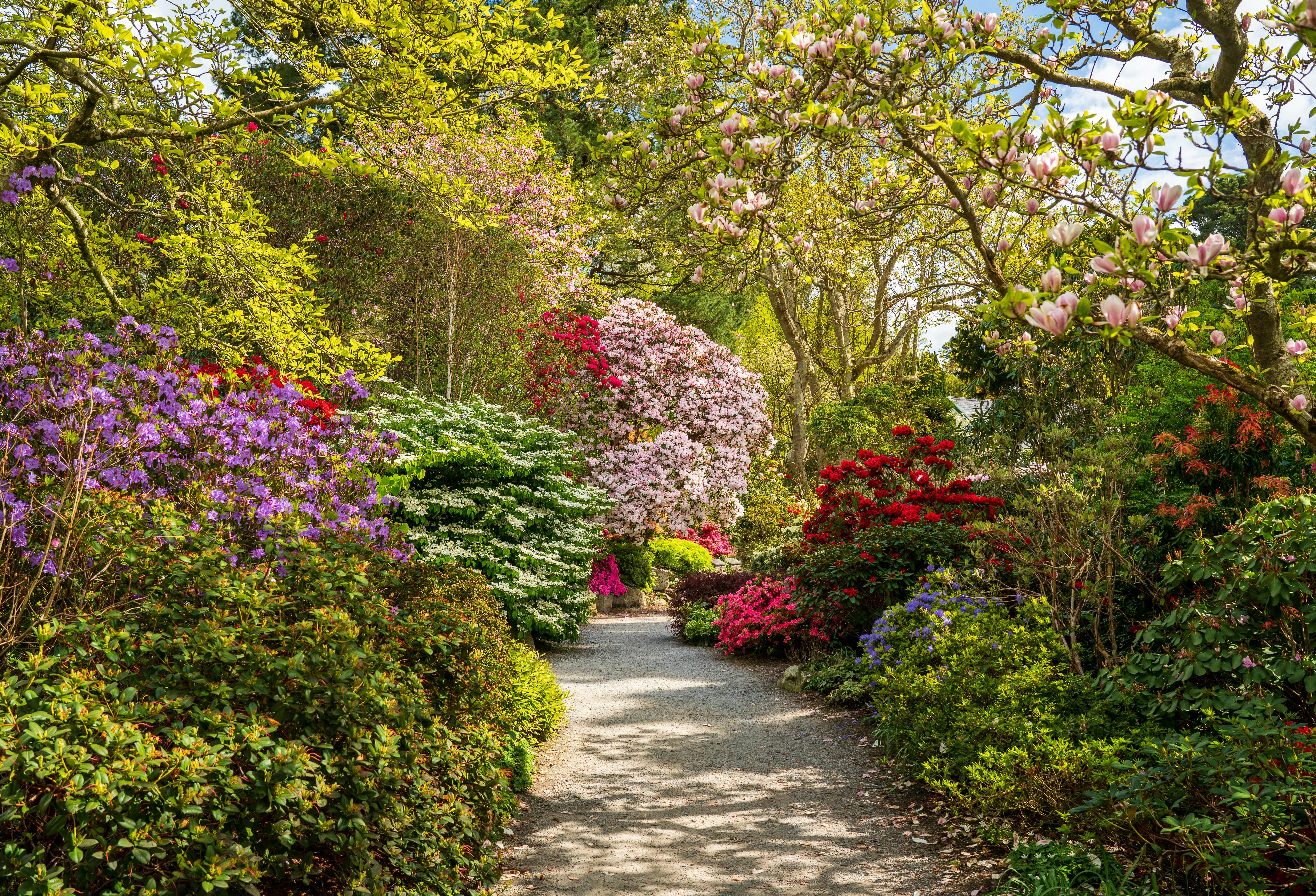 Bodnant Garden Wales in Bloom