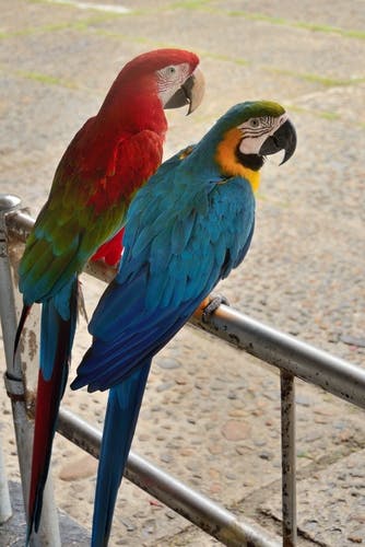 Manati Park Excursion
