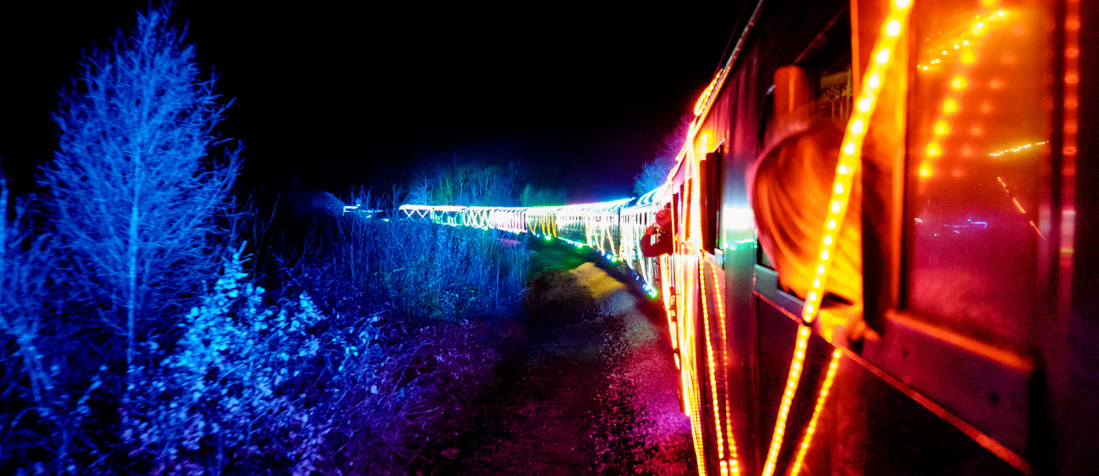 A steam train glowing with warm orange lights travels through trees lit in vivid blue on the Train of Lights in Devon.