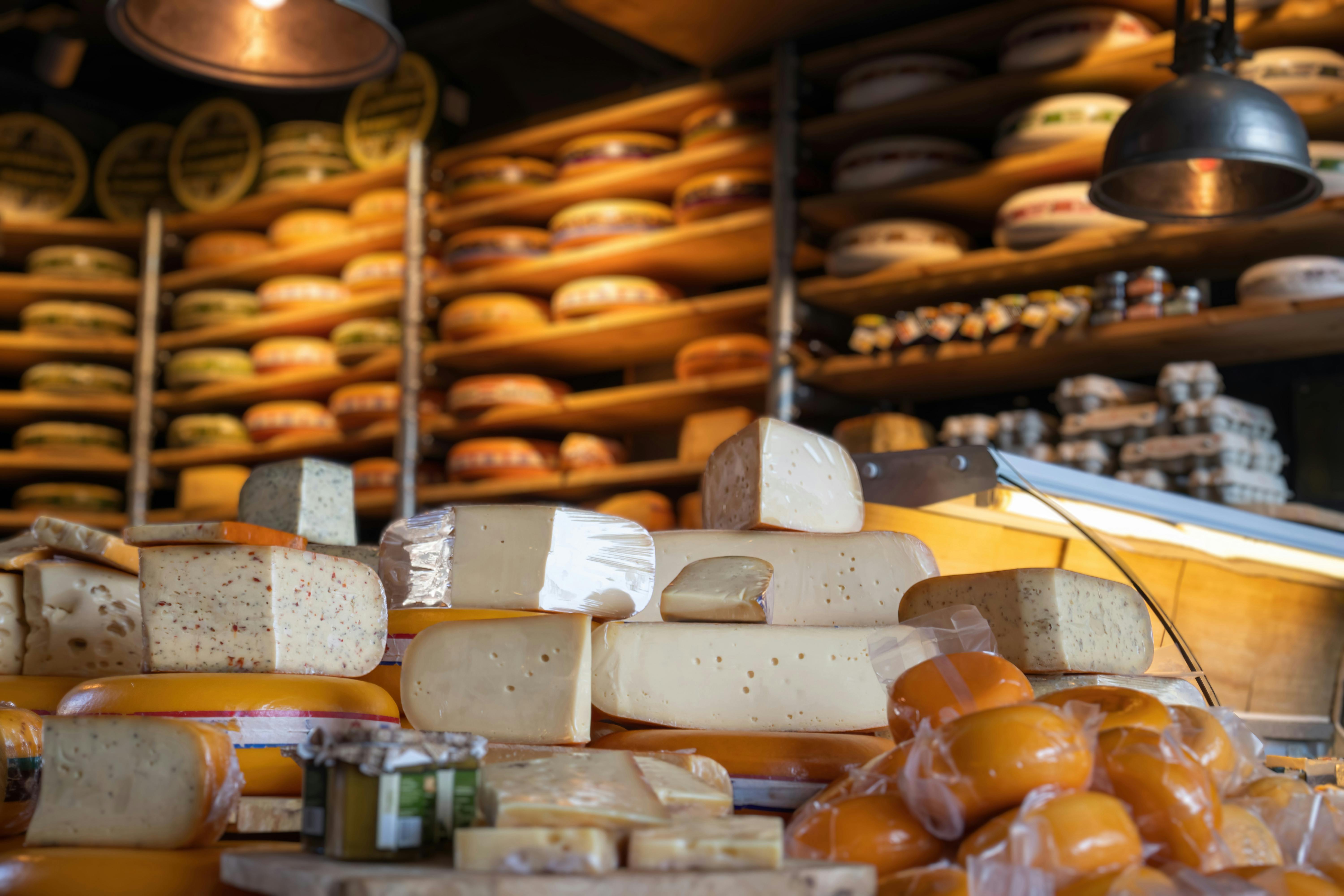 Rotterdam excursion, Cheese