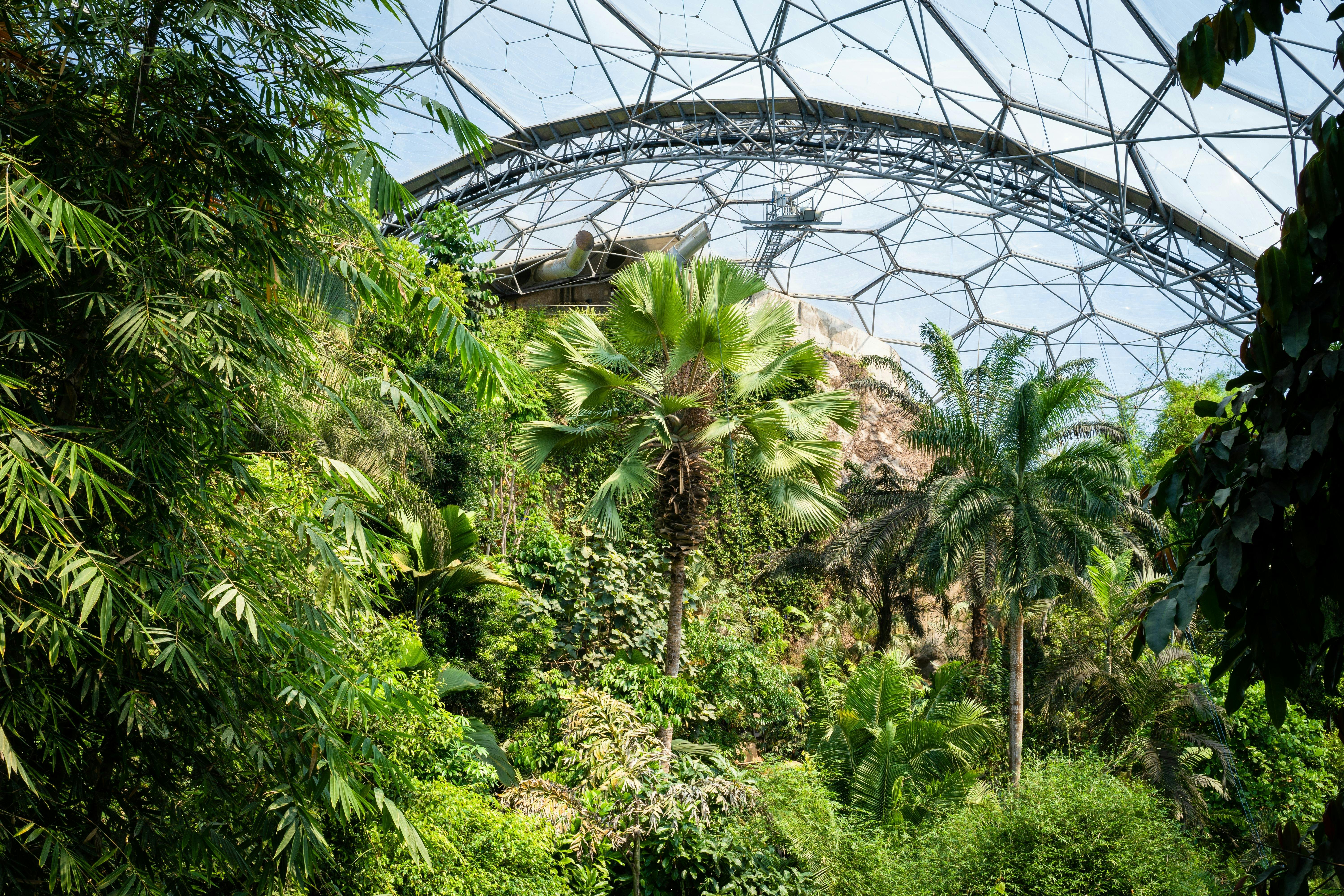 eden project