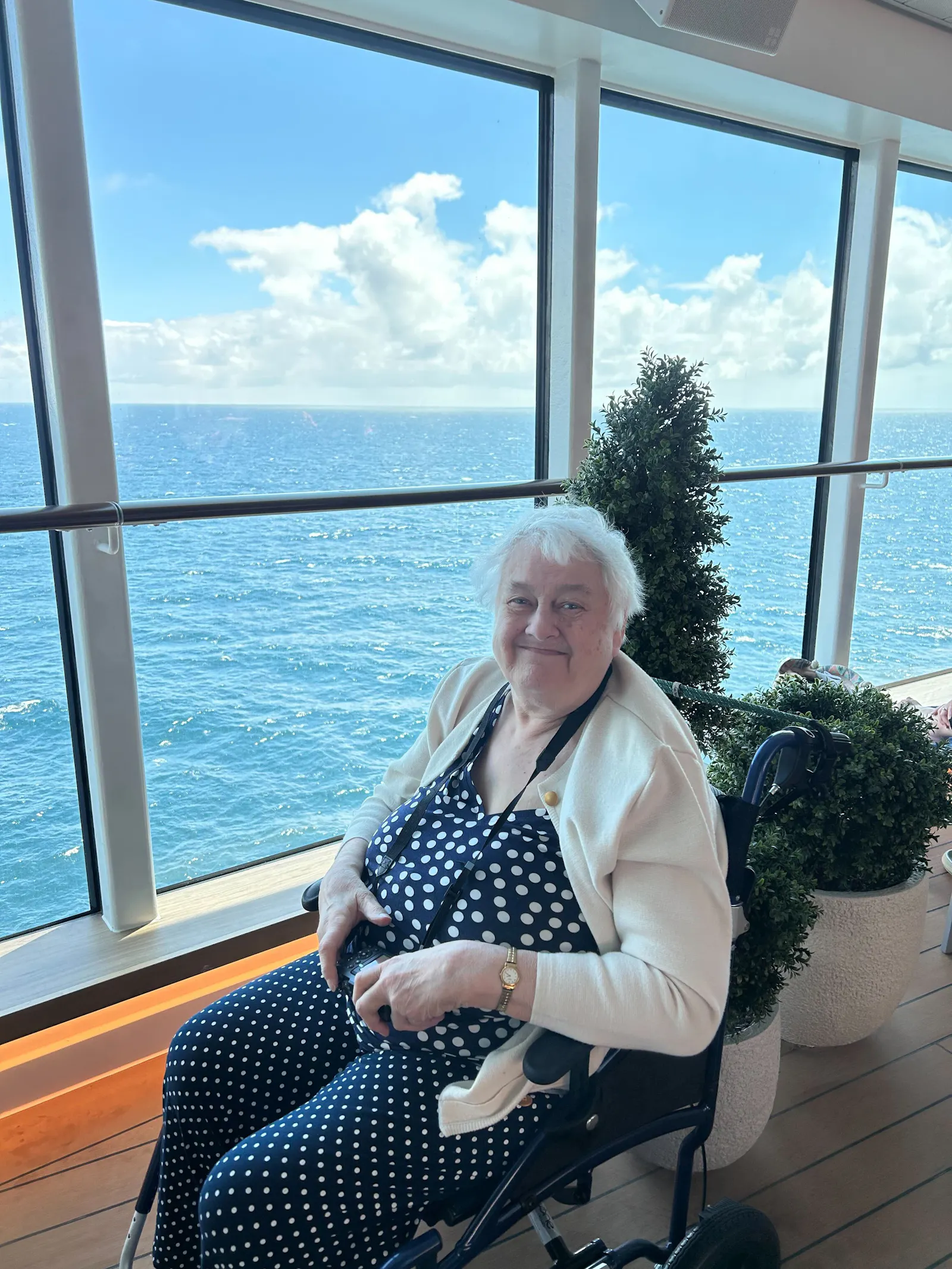Limitless cruise customer
