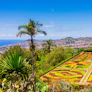 Funchal, Madeira, Botanical Gardens
