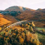 Scottish Highlands Experience