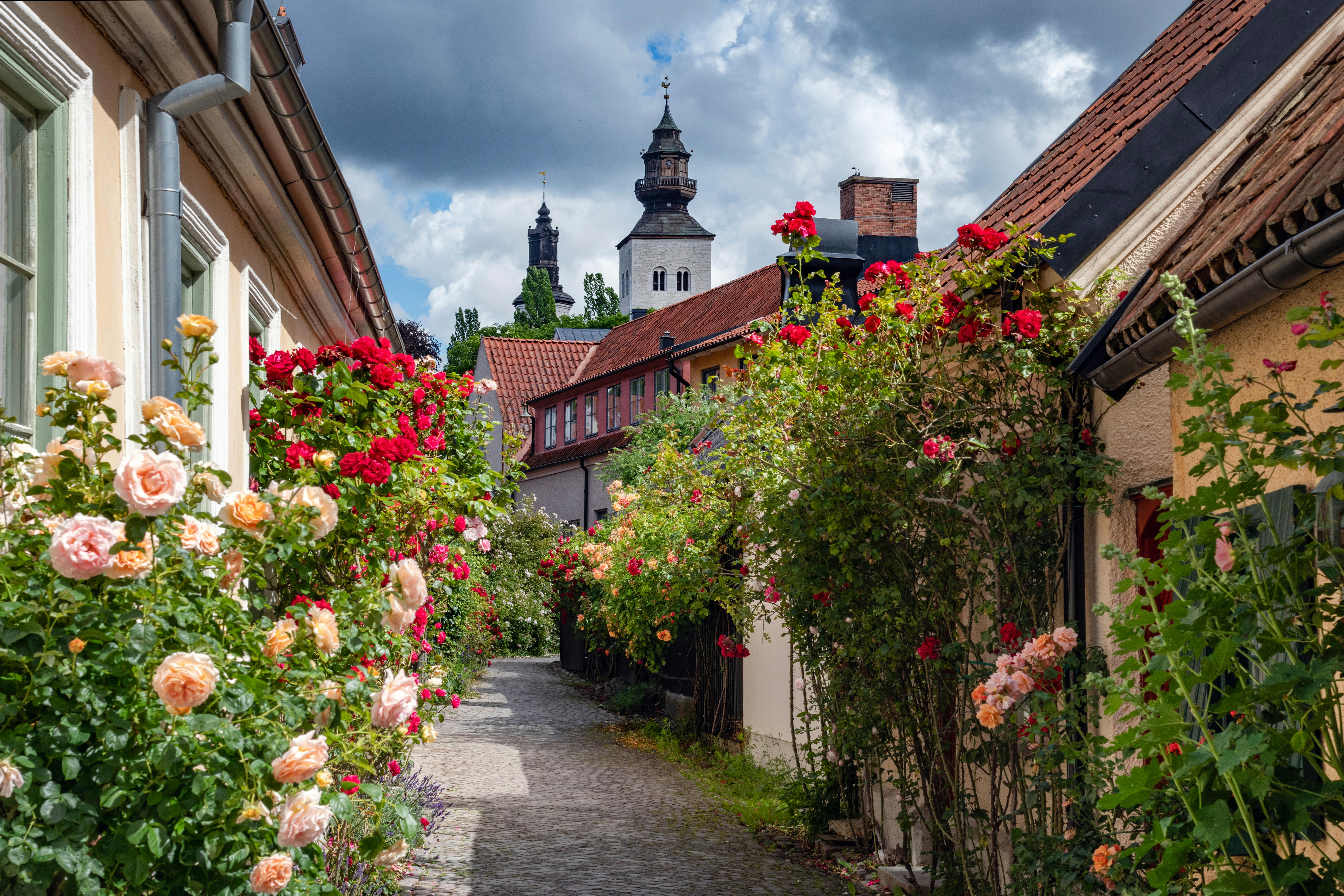Visby sweden, pretty street view with flowers