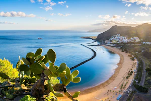 Tenerife Tenerife, Canary Islands