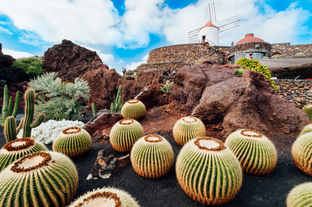 Lanzarote