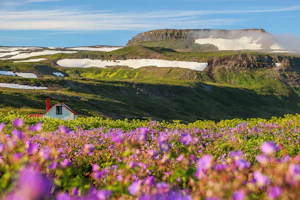 Isafjordur Iceland