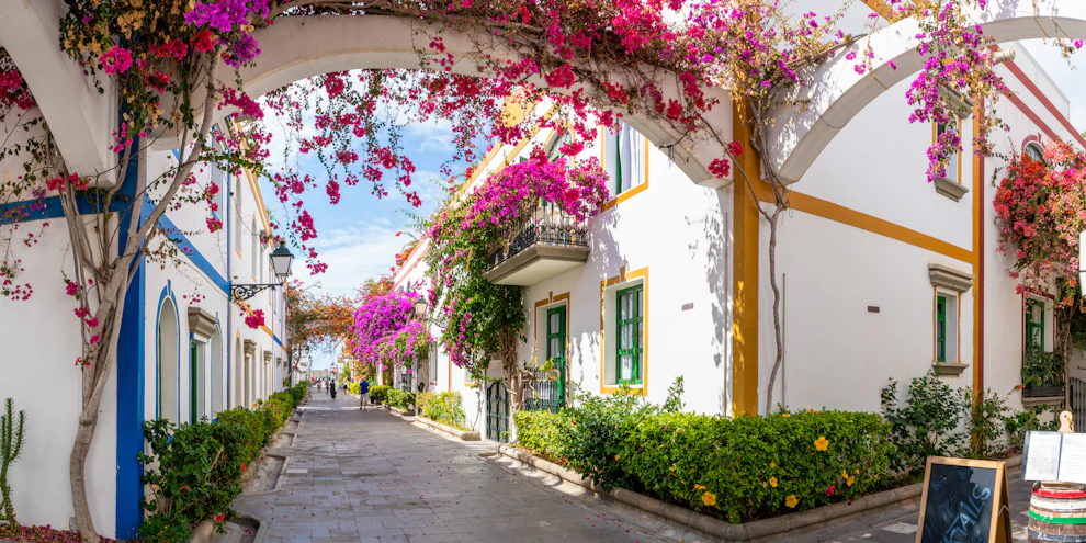 Gran Canaria Las Palmas, Gran Canaria landscape image
