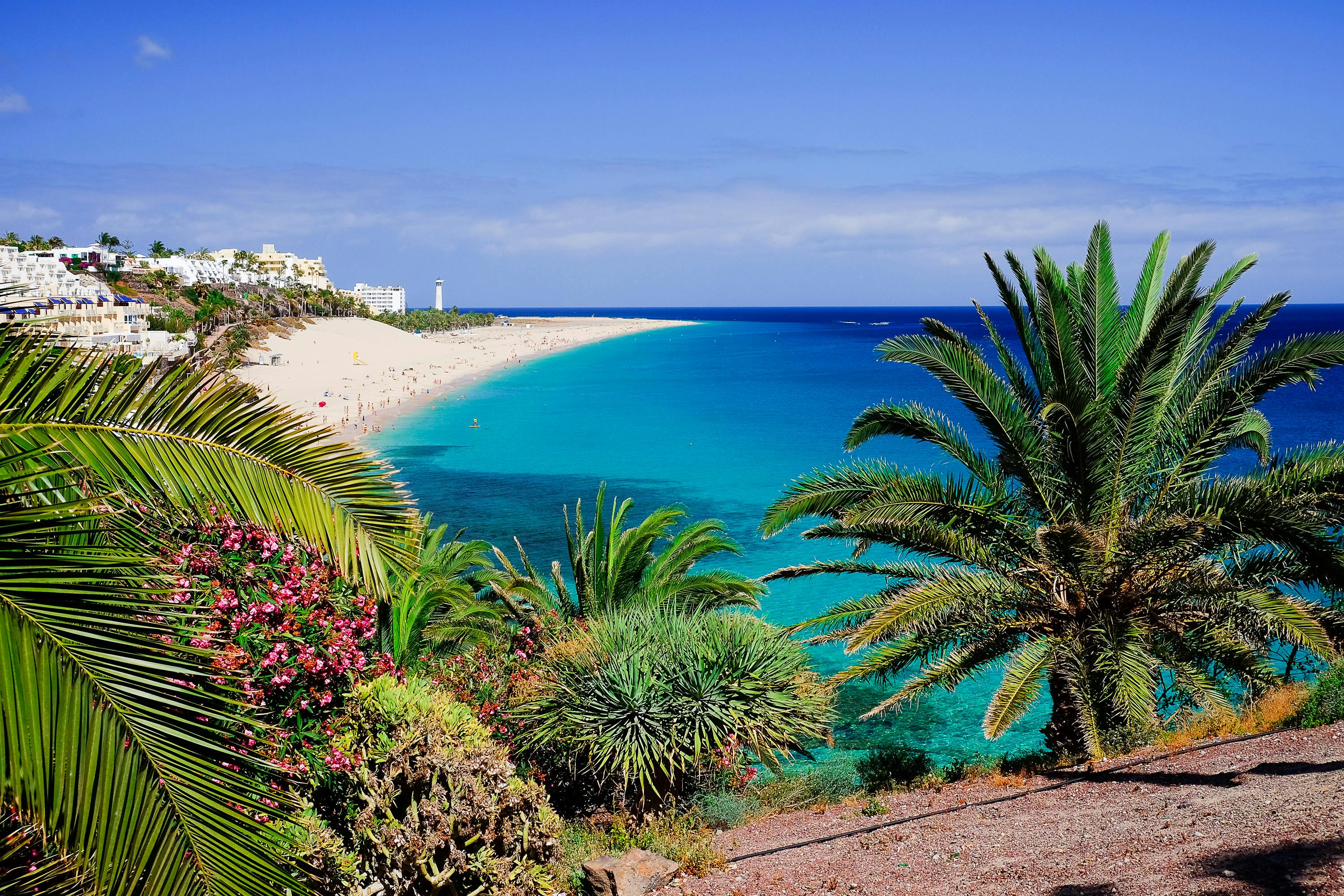 Fuerteventura landscape image