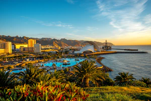 Santa Cruz Santa Cruz, Tenerife Landscape shot